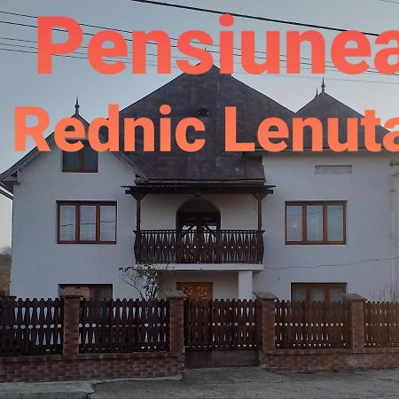 Pensiunea Rednic Lenuta Giulesti ภายนอก รูปภาพ