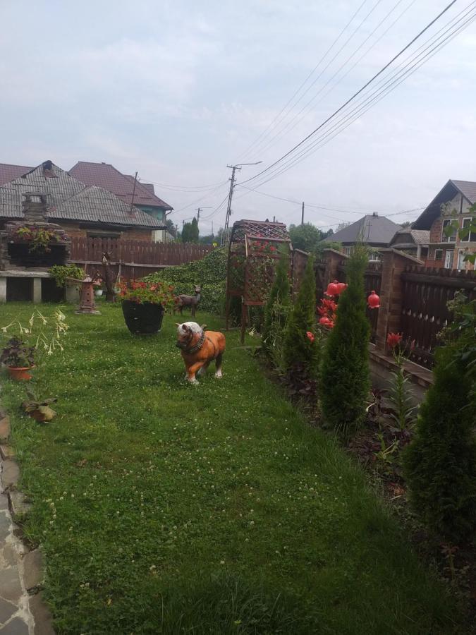 Pensiunea Rednic Lenuta Giulesti ภายนอก รูปภาพ